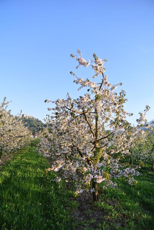 Agriturismo Bortolotti Pergine Valsugana Eksteriør bilde