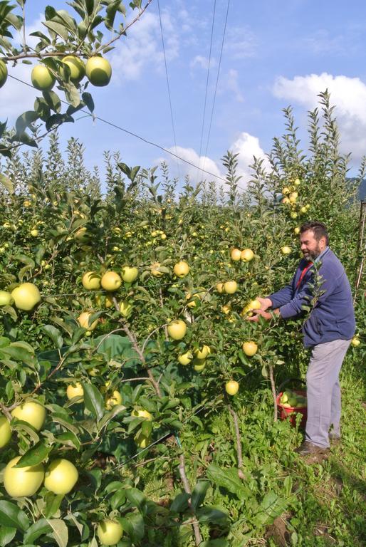 Agriturismo Bortolotti Pergine Valsugana Eksteriør bilde