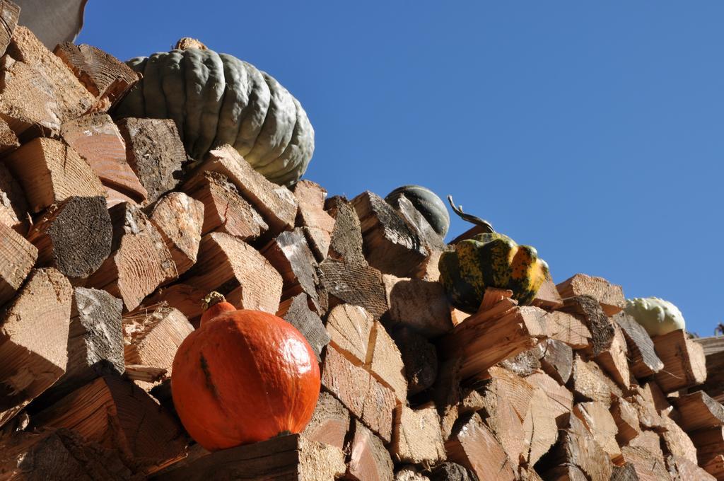 Agriturismo Bortolotti Pergine Valsugana Eksteriør bilde